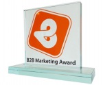 B2B marketing award
