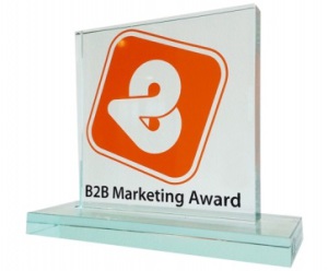 B2B marketing award